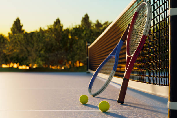 Quels coûts d’entretien prévoir après une construction court de tennis Nice ?